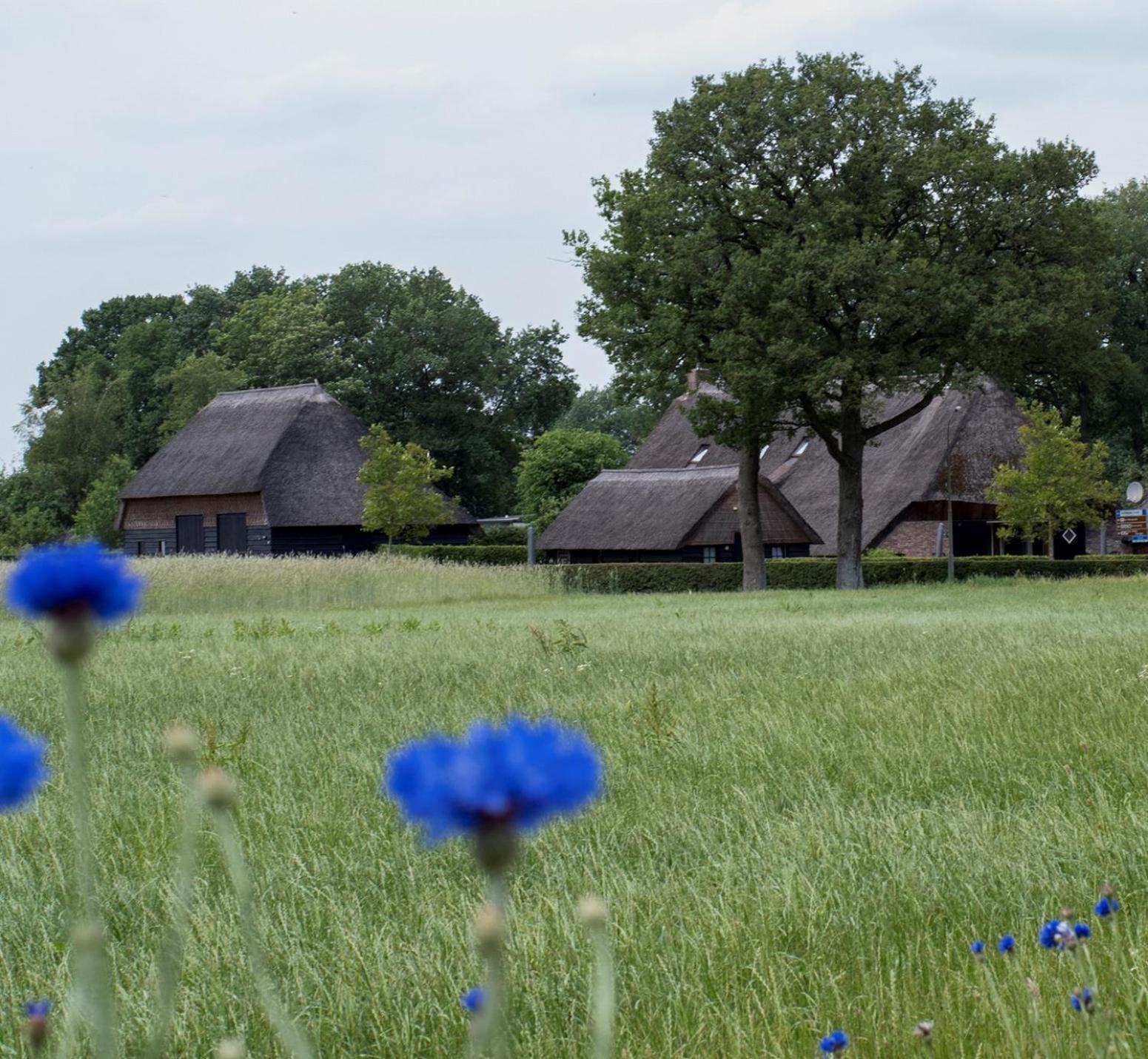 Gastenverblijf Lheederhof Lodge 3 Dwingeloo Exterior photo