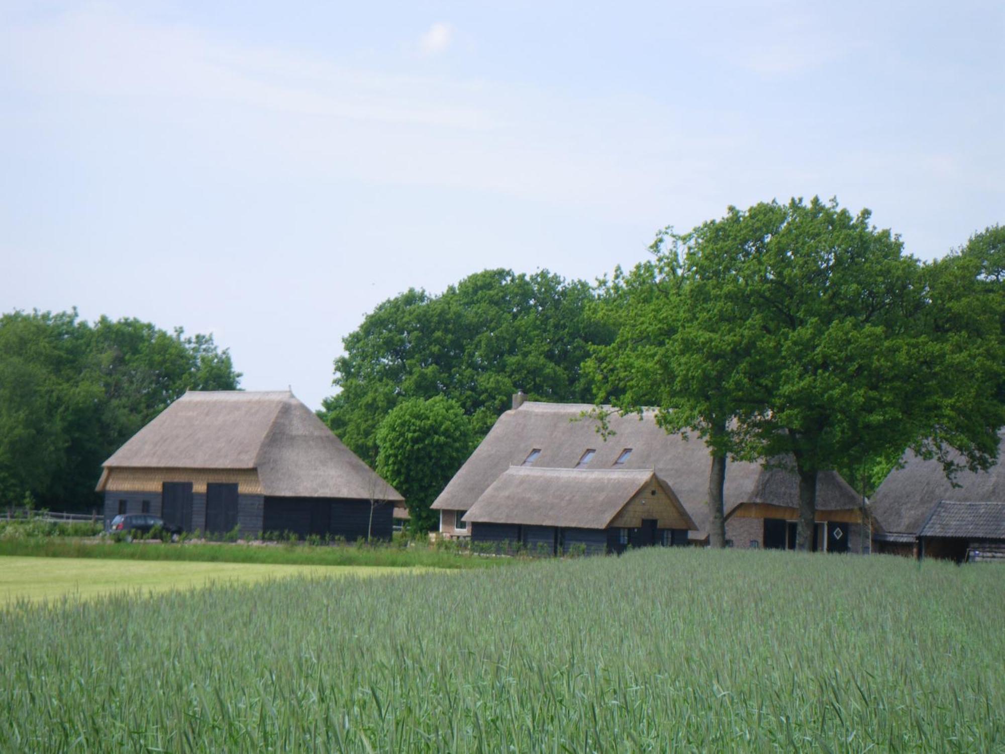 Gastenverblijf Lheederhof Lodge 3 Dwingeloo Exterior photo